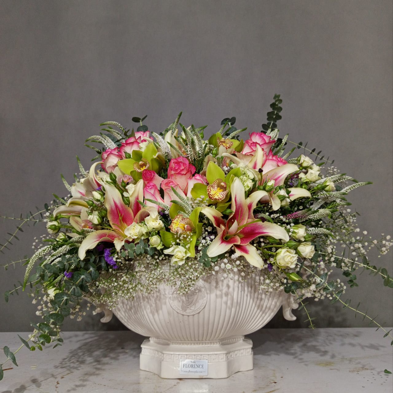 WhatsApp Image 2025-11-12 at 15.37.59