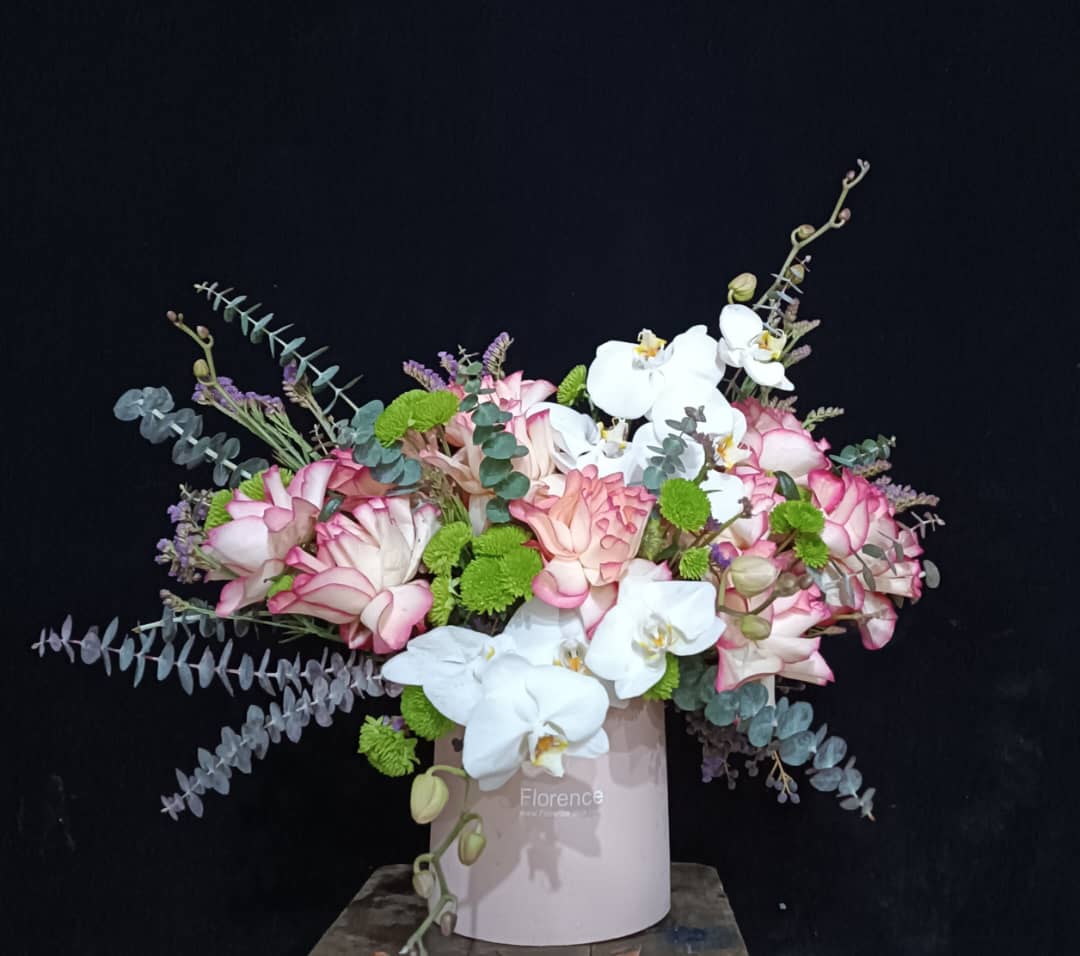 WhatsApp Image 2025-11-29 at 09.20.26