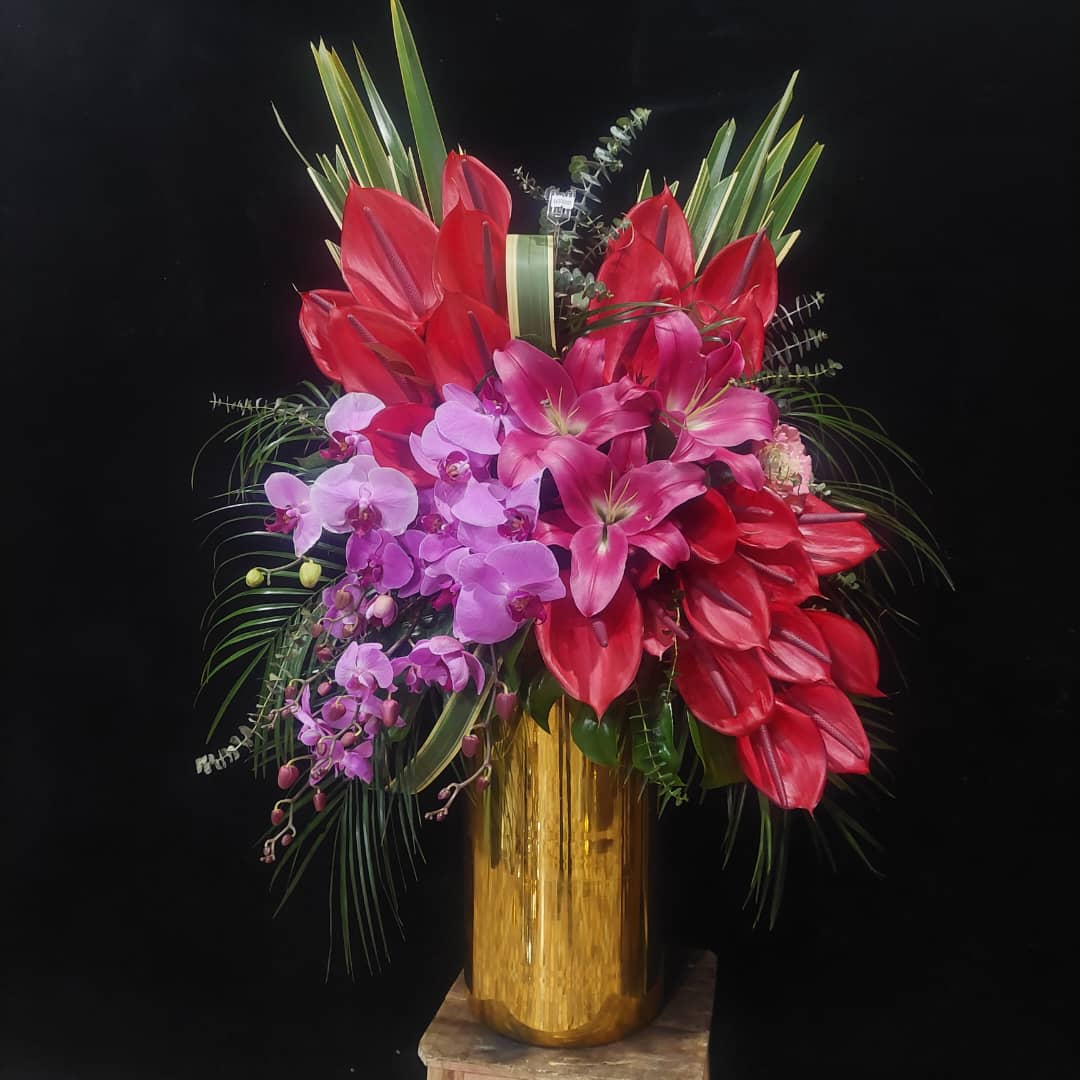 WhatsApp Image 2025-12-06 at 17.31.12