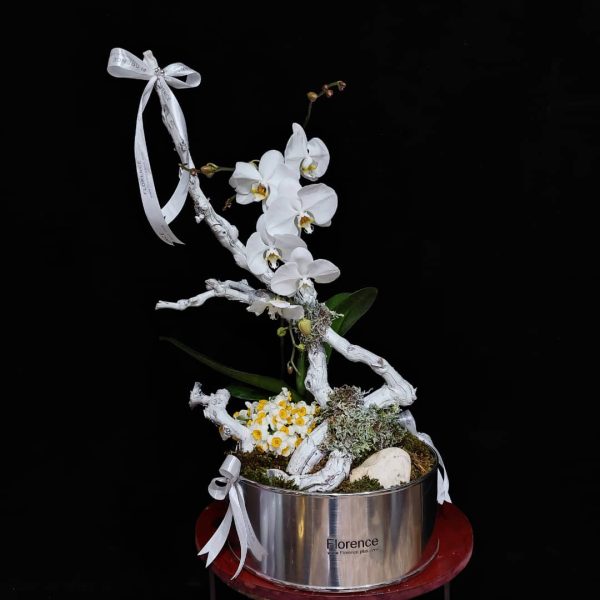 گل های امروز فلورانس – کد 10002