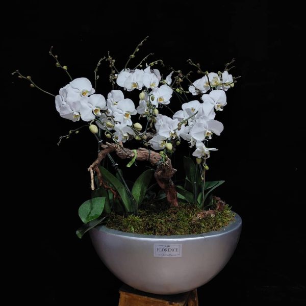 گل های امروز فلورانس – کد 10027