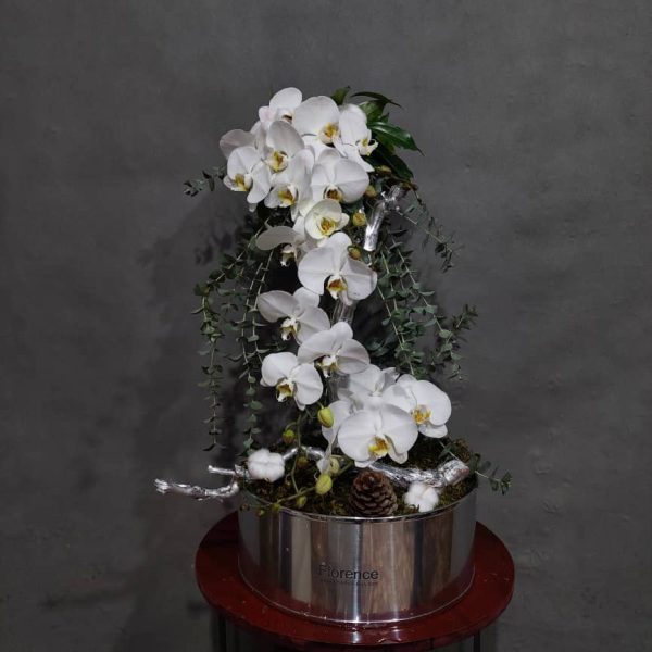 گل های امروز فلورانس – کد 10020