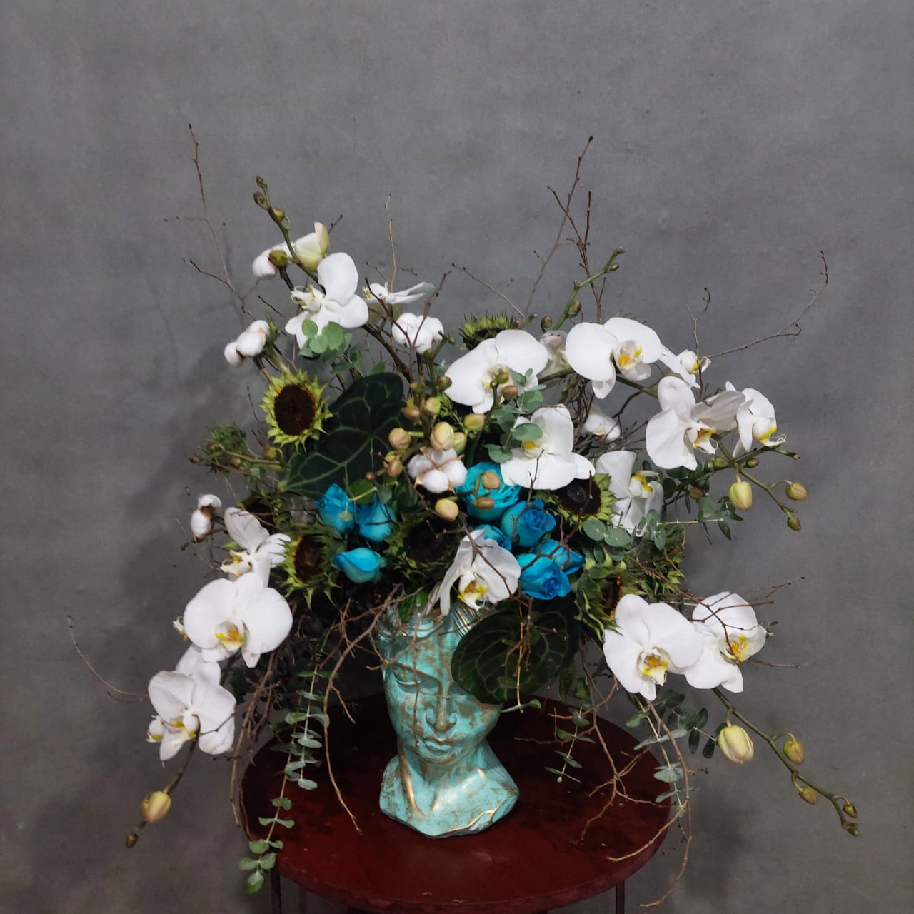 WhatsApp Image 2026-01-08 at 12.02.25