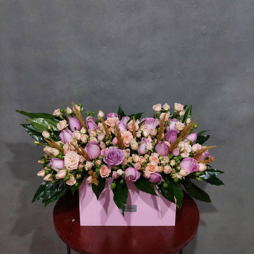 WhatsApp Image 2026-01-08 at 15.18.54