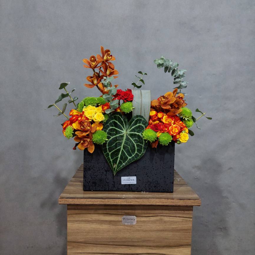 ۲۰۲۶۰۲۱۹_۰۸۳۷۵۸