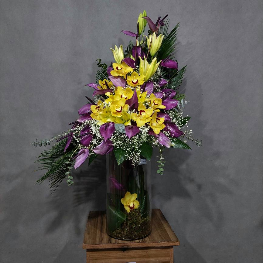 ۲۰۲۶۰۲۲۴_۱۲۰۱۲۷