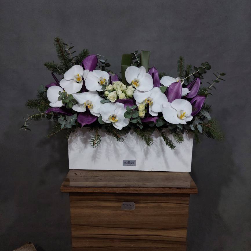 ۲۰۲۶۰۲۲۵_۱۲۳۶۵۶