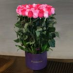 باکس رز باغچه ای متوسط فلورانس – زیبایی در کنار عملکرد