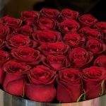 باکس گل رز عاشقانه فلورانس با طراحی شیک و گل‌های قرمز مخملی