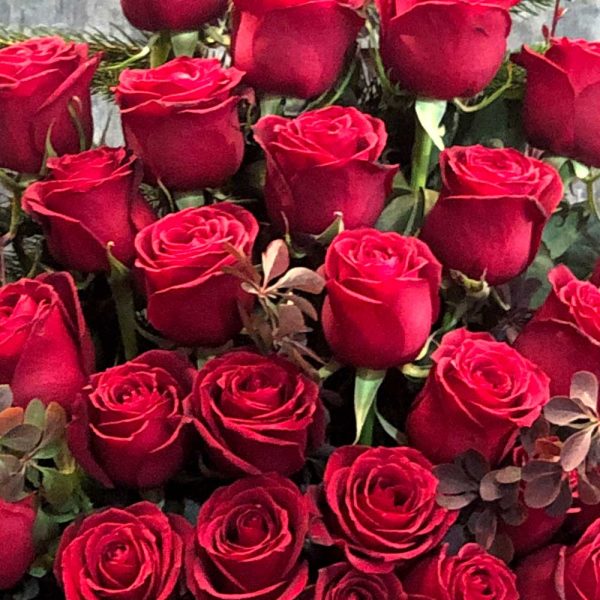 باکس رز فلورانس – طرحی زیبا و کاربردی برای گل‌هایتان