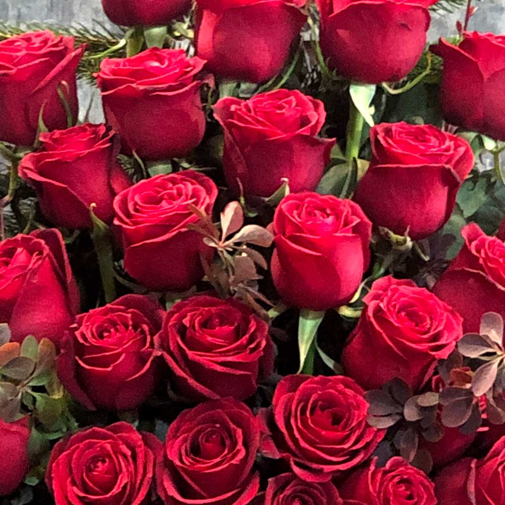 باکس رز فلورانس – طرحی زیبا و کاربردی برای گل‌هایتان