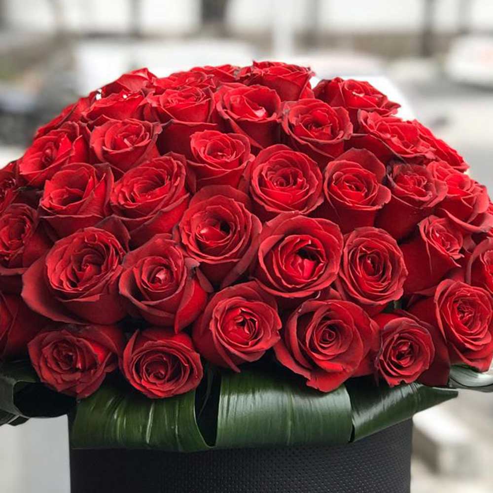 باکس گل رز سرخ ولنتاین – عشق در قالبی زیبا