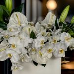 باکس گل سفید لاکچری از گالری فلورانس برای مناسبت‌های خاص