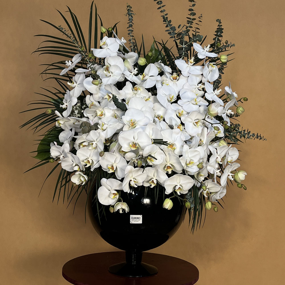 بلور-گل-فلونوپسیس-کد-4930-1 بلور گل فلونوپسیس با طراحی شفاف و گل ارکیده شیک در گلفروشی فلورانس