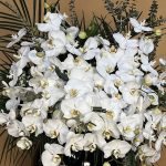 گل فلونوپسیس در بلور شفاف تزئینی با طراحی هنرمندانه از گلفروشی فلورانس