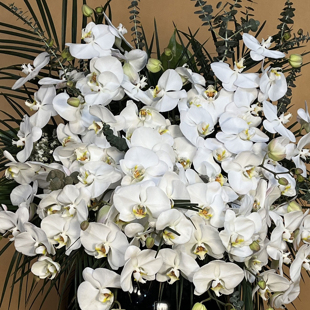 بلور-گل-فلونوپسیس-کد-4930-2 گل فلونوپسیس در بلور شفاف تزئینی با طراحی هنرمندانه از گلفروشی فلورانس