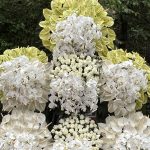 تاج گل با طراحی خاص مناسب مراسم‌ رسمی و لاکچری
