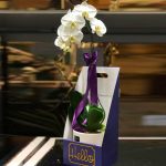 یک شاخه زیبا و خاص از گیاه ارکیده که جلوه‌ای منحصر به فرد به فضای شما می‌بخشد. این گیاه لوکس و با دوام، هدیه‌ای ایده‌آل برای عزیزان شما است.