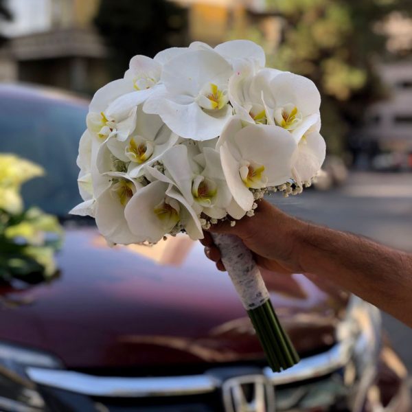 دسته گل عروس فلونوپسیس سفید با طراحی کلاسیک و روبان ساتن