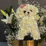 گل عروسکی فانتزی گالری فلورانس با طراحی کارتونی و بسته‌بندی خاص برای هدیه