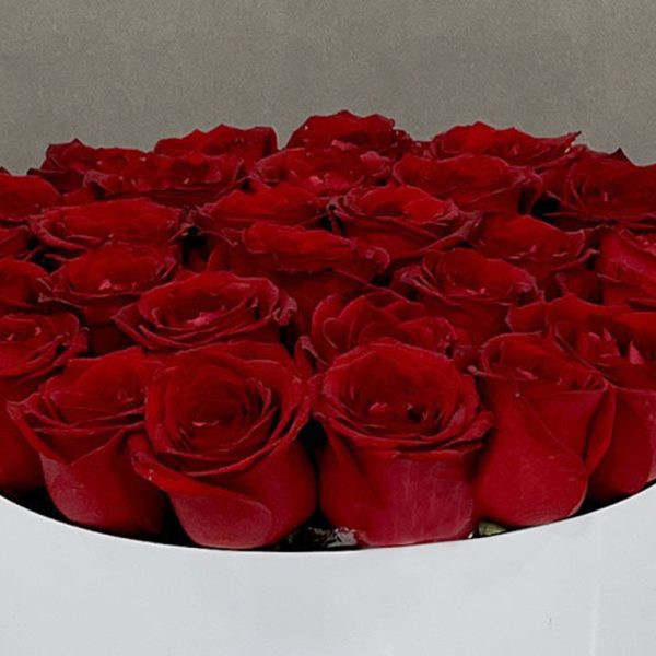 باکس گل رز تخت گالری فلورانس با طراحی شیک و گل‌های تازه