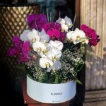 باکس گل نفیس ارکیده‌ای دو رنگ – گلی شیک و معنوی برای هدیه و دکوراسیون