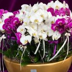 "ارکیده سفید بنفش در گلدان طلایی – ظاهری شیک و مدرن برای دکوراسیون داخلی"