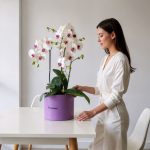 بوته ارکیده سفید وسط بنفش فلورانس - ترکیبی از زیبایی و شیک بودن