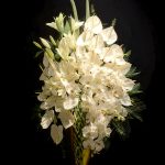 جام گل ترحیمی گالری فلورانس - گل‌های سفید برای مراسم‌های تسلیت