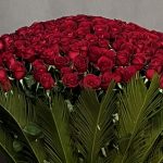 "جام گل رز هلندی، هدیه‌ای بی‌نظیر با گل‌های تازه و طراحی ویژه."