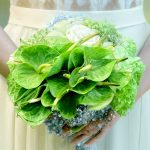 دسته گل عروس آنتریوم سبز، یک انتخاب شیک و لوکس برای عروس‌هایی که می‌خواهند در روز عروسی خود متفاوت و بی‌نظیر باشند. این دسته گل با گل‌های آنتریوم سبز، ظاهری مدرن و جذاب دارد.