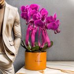 مجموعه 4 بوته ارکیده بنفش با طراحی شیک و رنگ‌های زیبا