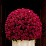 گل سوپرایز عاشقانه گالری فلورانس | کادوی خاص برای لحظه‌های احساسی