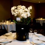 بوته ارکیده زرد گلفروشی فلورانس - رنگ زرد برای خوشبختی و انرژی مثبت