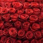 گلدان رز قرمز شیک با گل‌های طبیعی و چیدمان هنری برای دکوراسیون داخلی