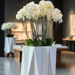 "مجموعه ارکیده سپید برای دکوراسیون مدرن و لوکس"
