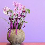 "مجموعه ارکیده ملون با طراحی خاص و رنگ‌های زیبا"