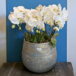 "مجموعه ارکیده دایره‌ای با طراحی مدرن و لوکس"