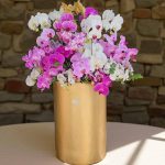 "مجموعه ارکیده بوته و شاخه: ترکیبی زیبا از ارکیده‌های بوته‌ای و شاخه‌ای برای دکوراسیون شما"