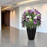 "تصویری از جام گل پرویا وحشی، با ترکیب رنگ‌های بنفش، سفید و سبز، مناسب برای هر مناسبت"