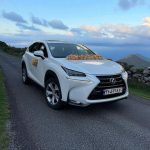 "ماشین عروس با گلهای رنگی و شاد از گلفروشی فلورانس برای روز عروسی خاص"