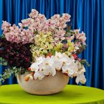 گل رومیزی سیمبیدیوم فلورانس؛ تزئینی شیک برای هر فضا