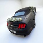 ماشین عروس با گل‌های سفید و نباتی؛ جلوه‌ای خاص برای روزی خاص