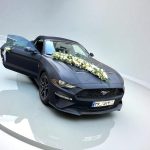 ماشین عروس با گل‌های سفید و نباتی؛ ترکیبی از خلوص و شکوه