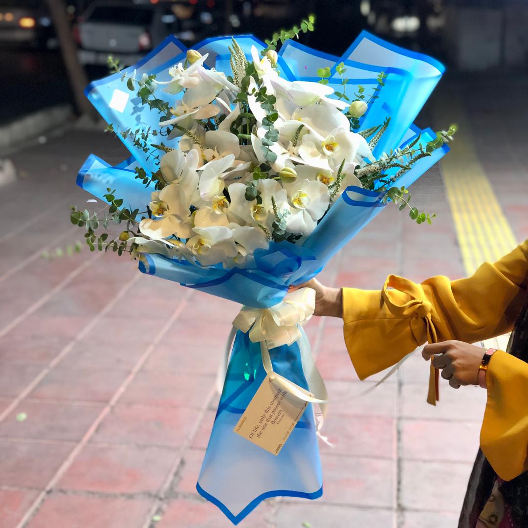 WhatsApp Image 2025-10-06 at 18.18.00