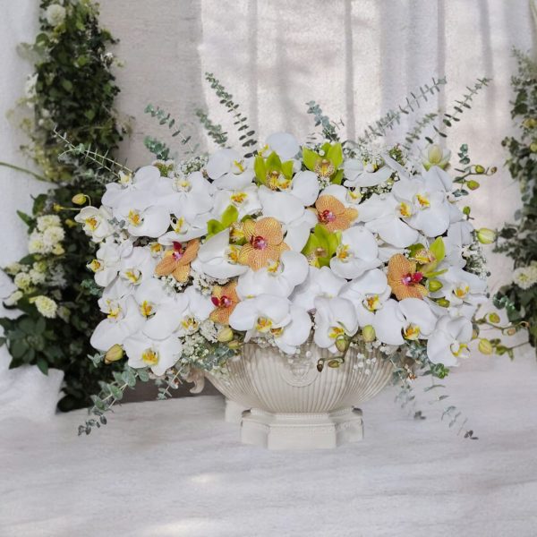 گلدان رزین رومیزی فالونوپسیس شیک و مدرن