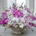 گلدان ارکیده فلو رنگی لوکس با طراحی مدرن