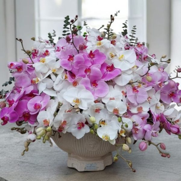 گلدان ارکیده فلو رنگی لوکس با طراحی مدرن