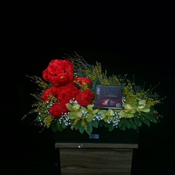 باکس با برگ سبز و خرس و شکلات ولنتاین - ست هدیه خاص با برگ‌های سبز پایدار شده، خرس عروسکی کرم رنگ، شکلات مارس و کیت‌کت و باکس دکوراتیو از گلفروشی فلورانس