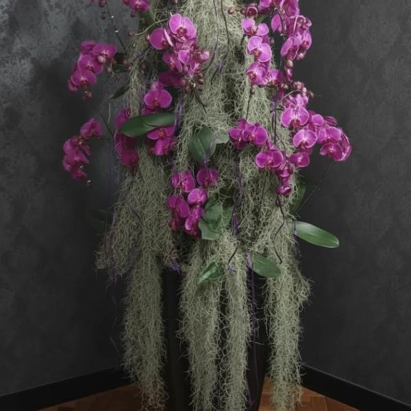 استند بلند لاکچری ارکیده سفید، نماد اصالت و زیبایی در دکوراسیون مدرن منزل